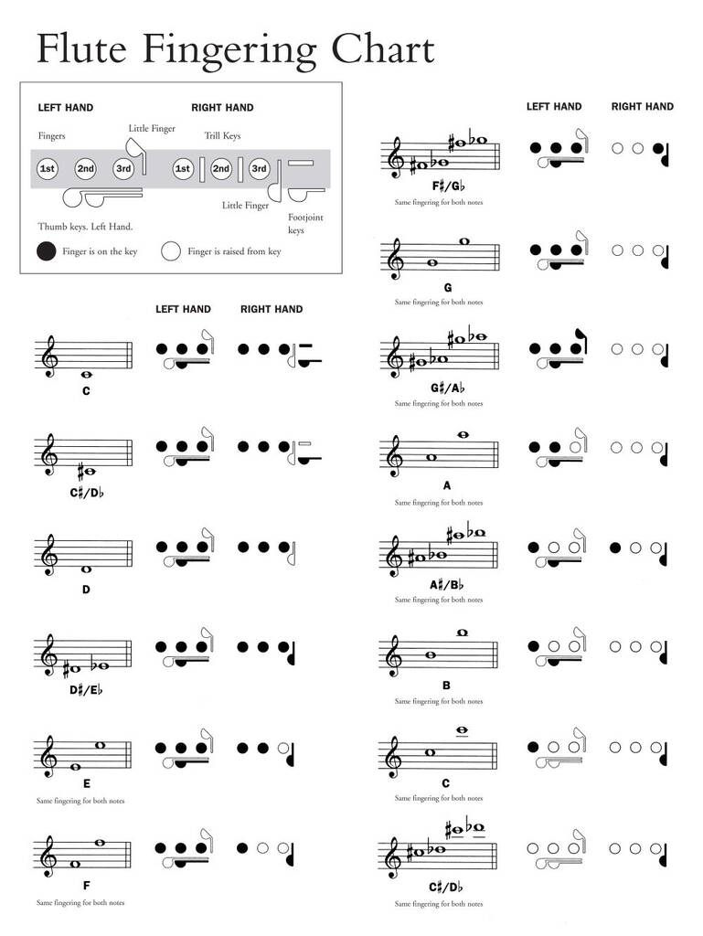 ABBA: Guest Spot - Abba: Flute Solo