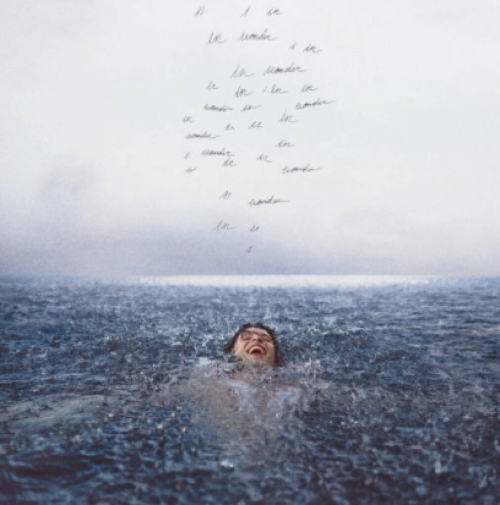 Shawn Mendes Wonder Vinyl