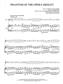 Andrew Lloyd Webber: The Phantom of the Opera: (Arr. Lindsey Stirling): Violin And Accomp.