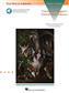 The Classical Singer's Christmas Album: Vocal Solo